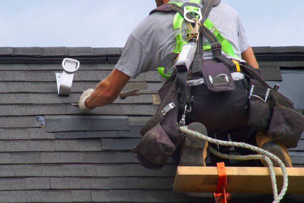 Best Roof Waterproofing Services  in Chlicothe, IL